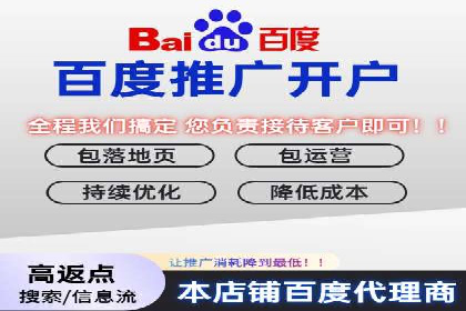 某SEM主管的跨平台广告投放策略与成果